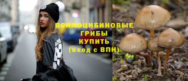 соль ск Ельня