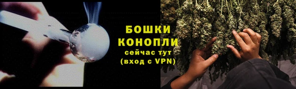 соль ск Ельня