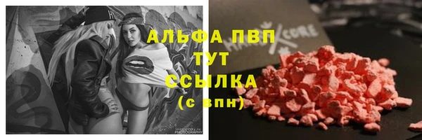 mdpv Елизово