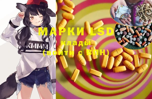 соль ск Ельня
