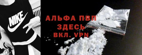 соль ск Ельня