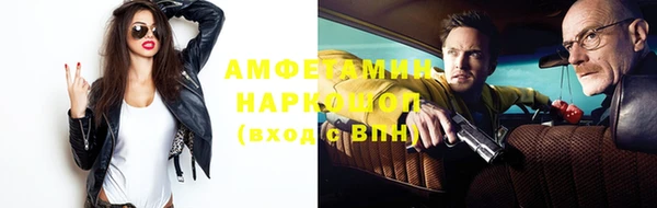 соль ск Ельня