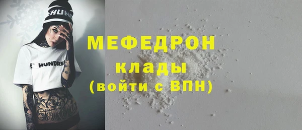 соль ск Ельня
