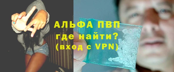 соль ск Ельня