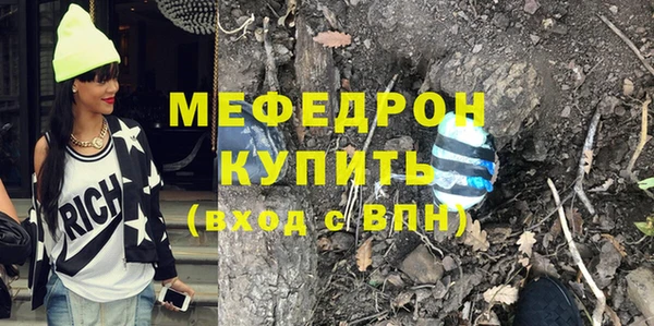 соль ск Ельня