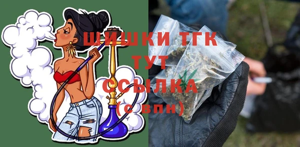 соль ск Ельня