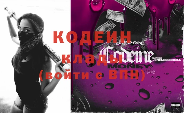 соль ск Ельня