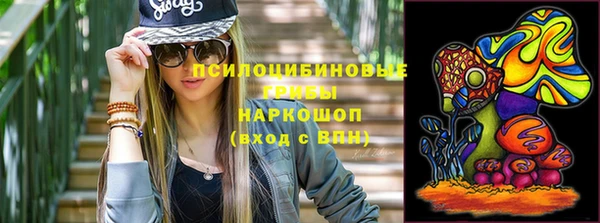 mdpv Елизово