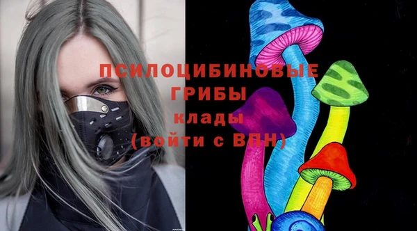 соль ск Ельня
