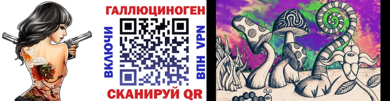 продажа наркотиков Рузаевка Псилоцибиновые грибы Cubensis