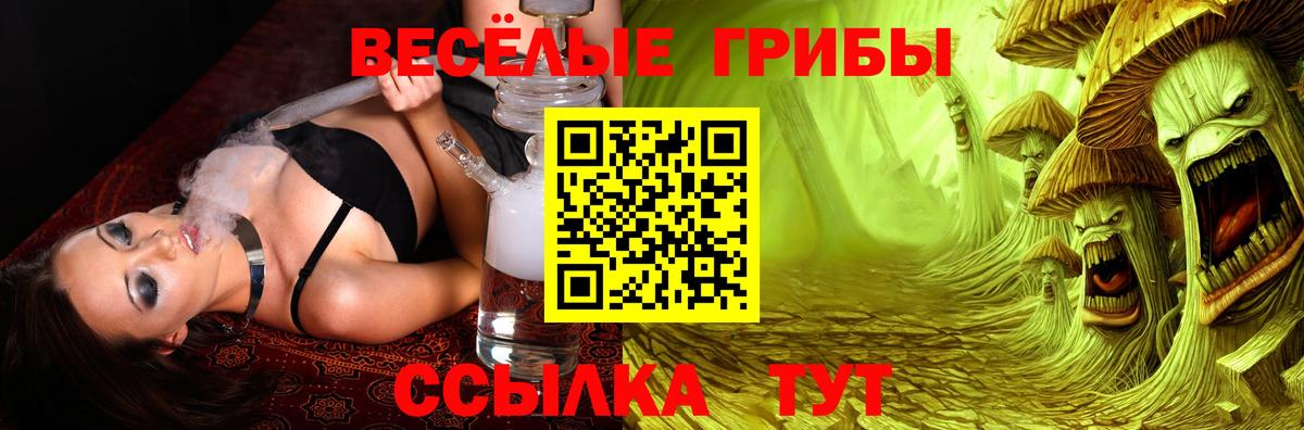 Рузаевка  Псилоцибиновые грибы GOLDEN TEACHER  Вход с VPN 